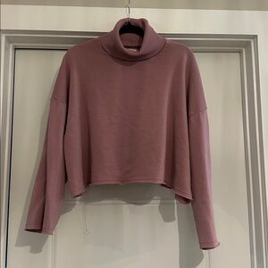 American Eagle Mauve Turtleneck Sweatshirt